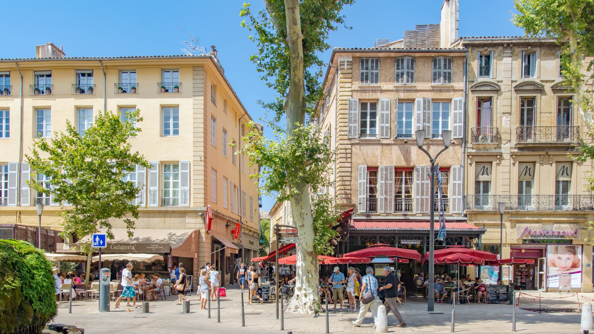 dératisation Aix-en-Provence