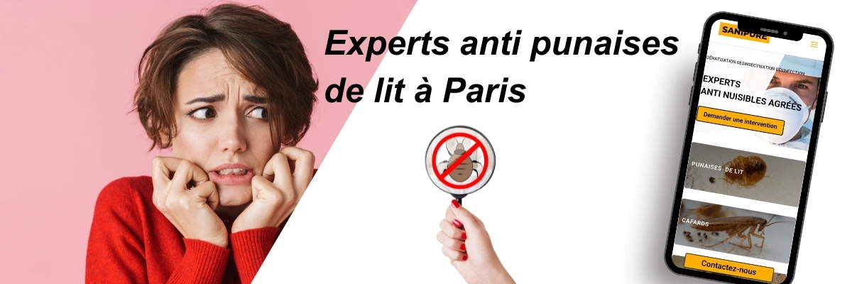 Punaise de Lit PARIS - Entreprise de traitement punaise de lit Paris