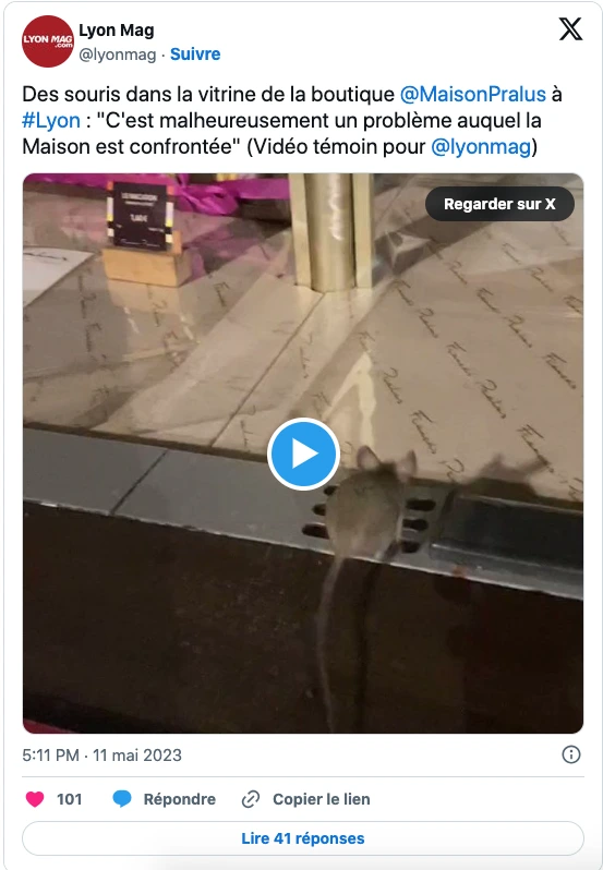 invasion de souris dans une patisserie à Lyon