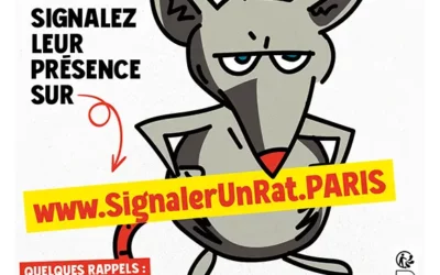 affiche de campagne pour signaler un rat