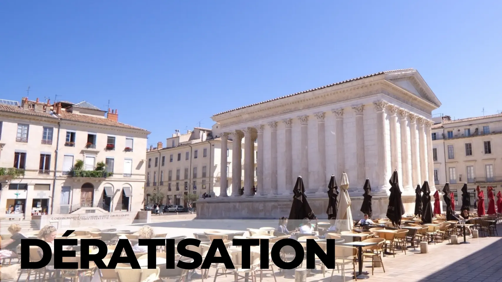 deratisation Nimes