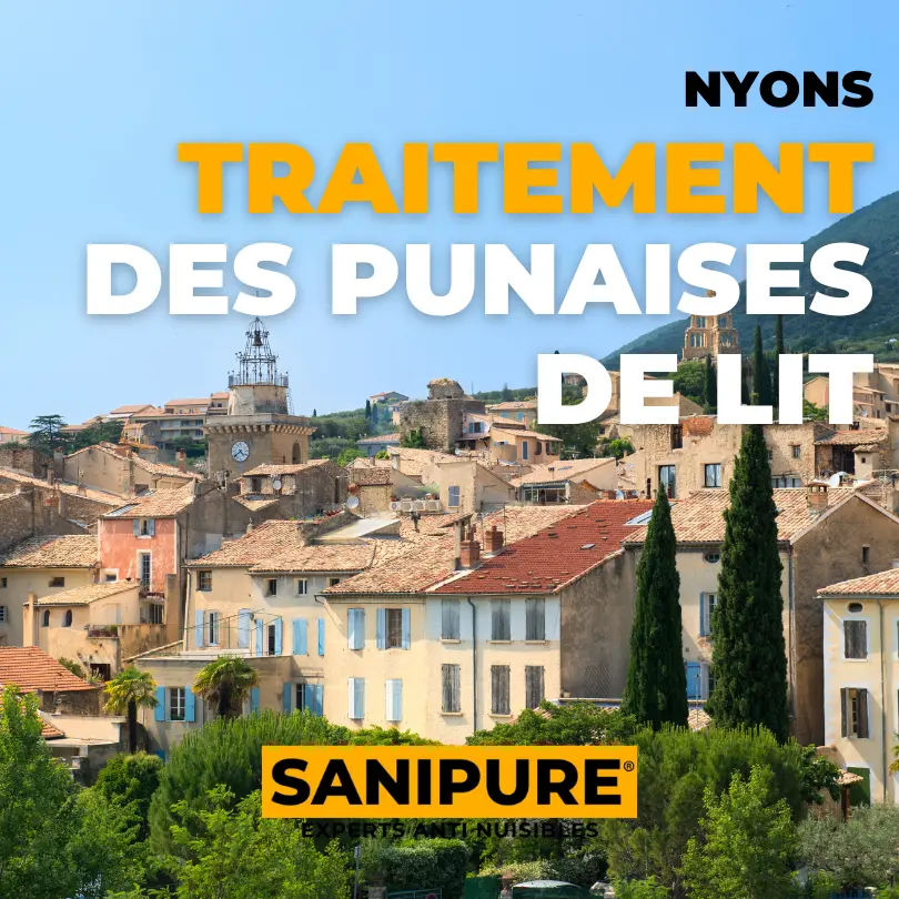 TRAITEMENT PUNAISE DE LIT Nyons 26110