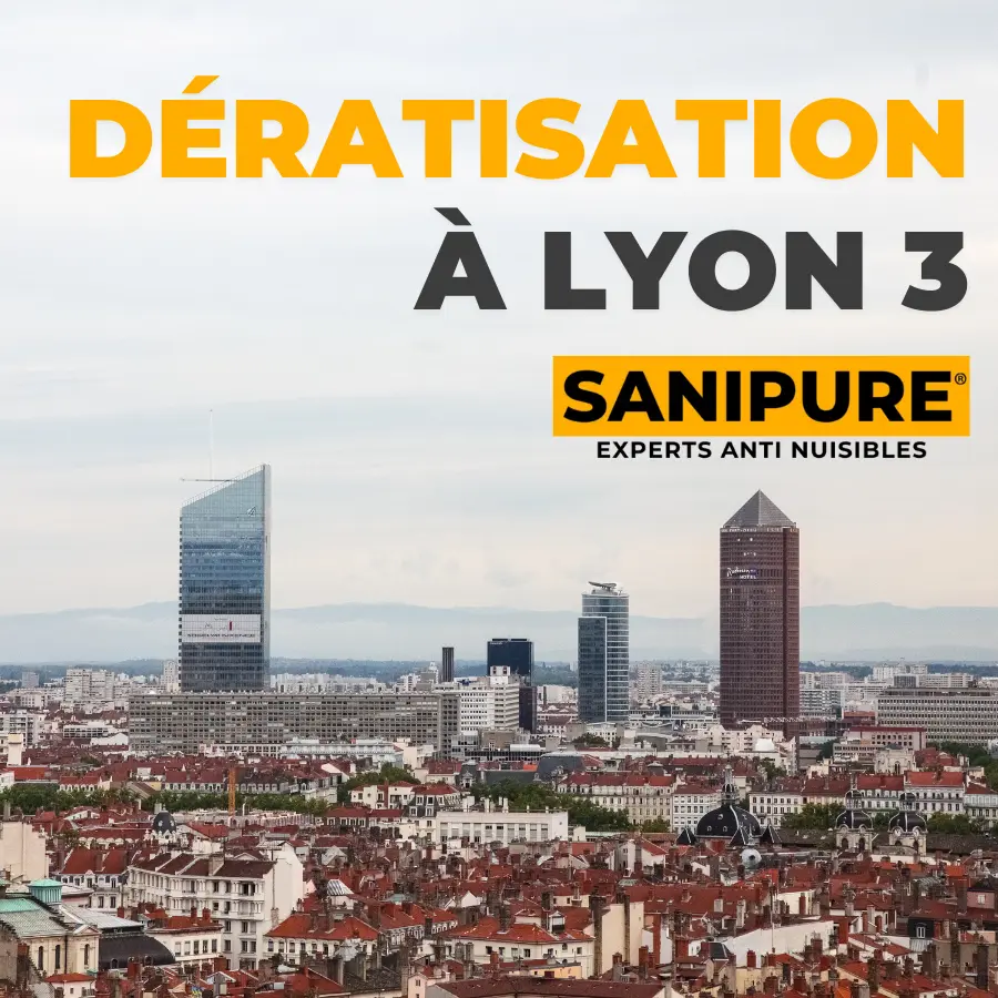 dératisation Lyon 3