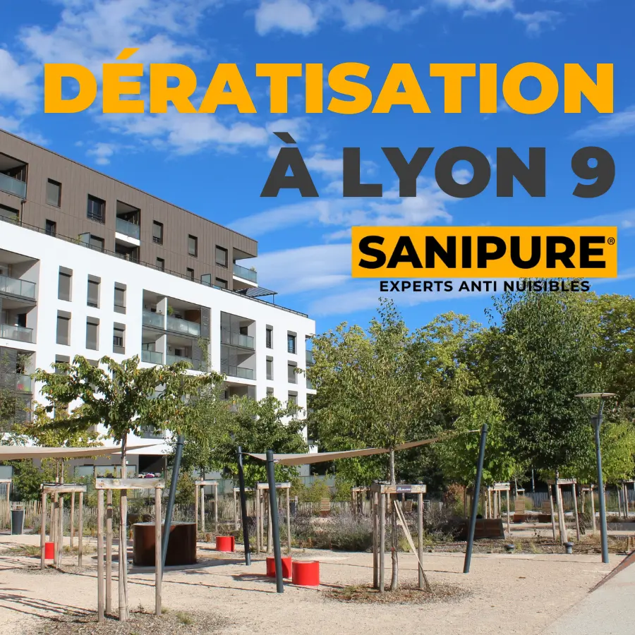 deratisation Lyon 9