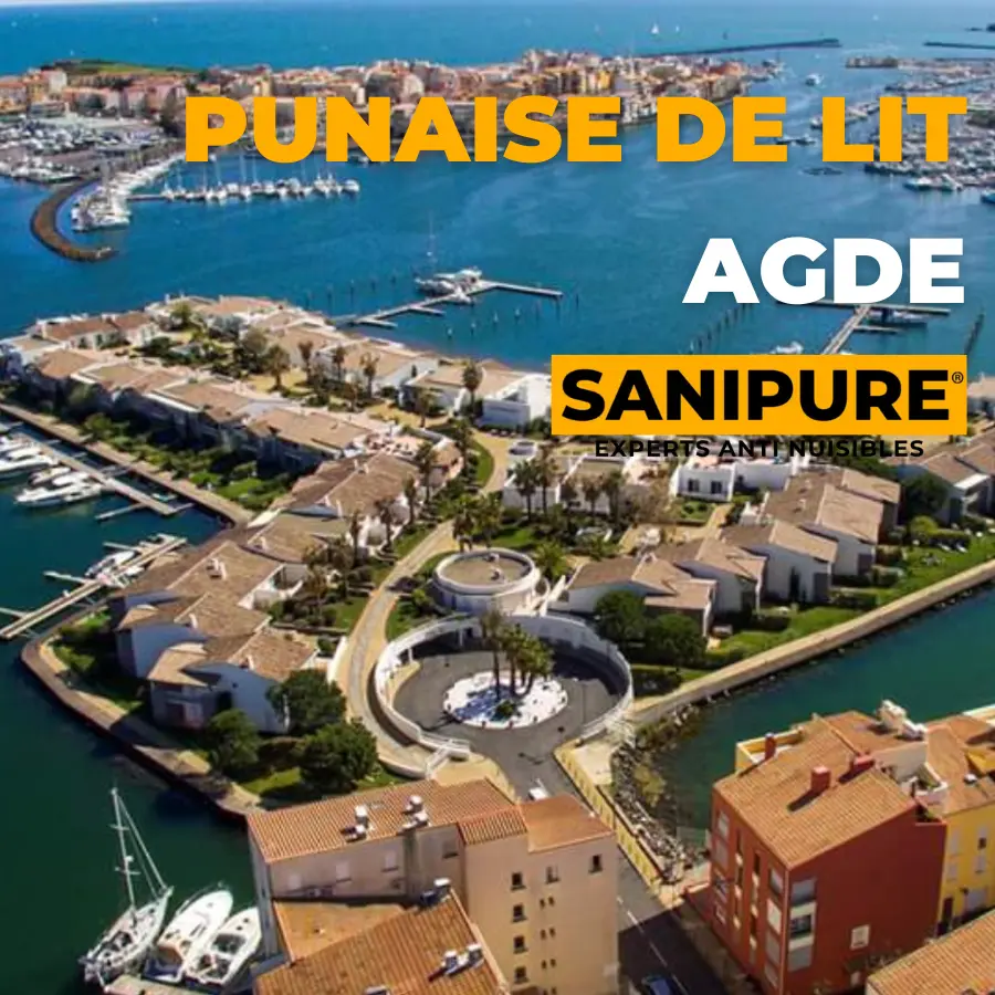 traitement punaise de lit Agde 34300