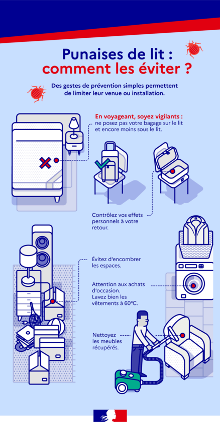 infographie sur les conseils pratiques du gouvernement pour prévenir les infestations