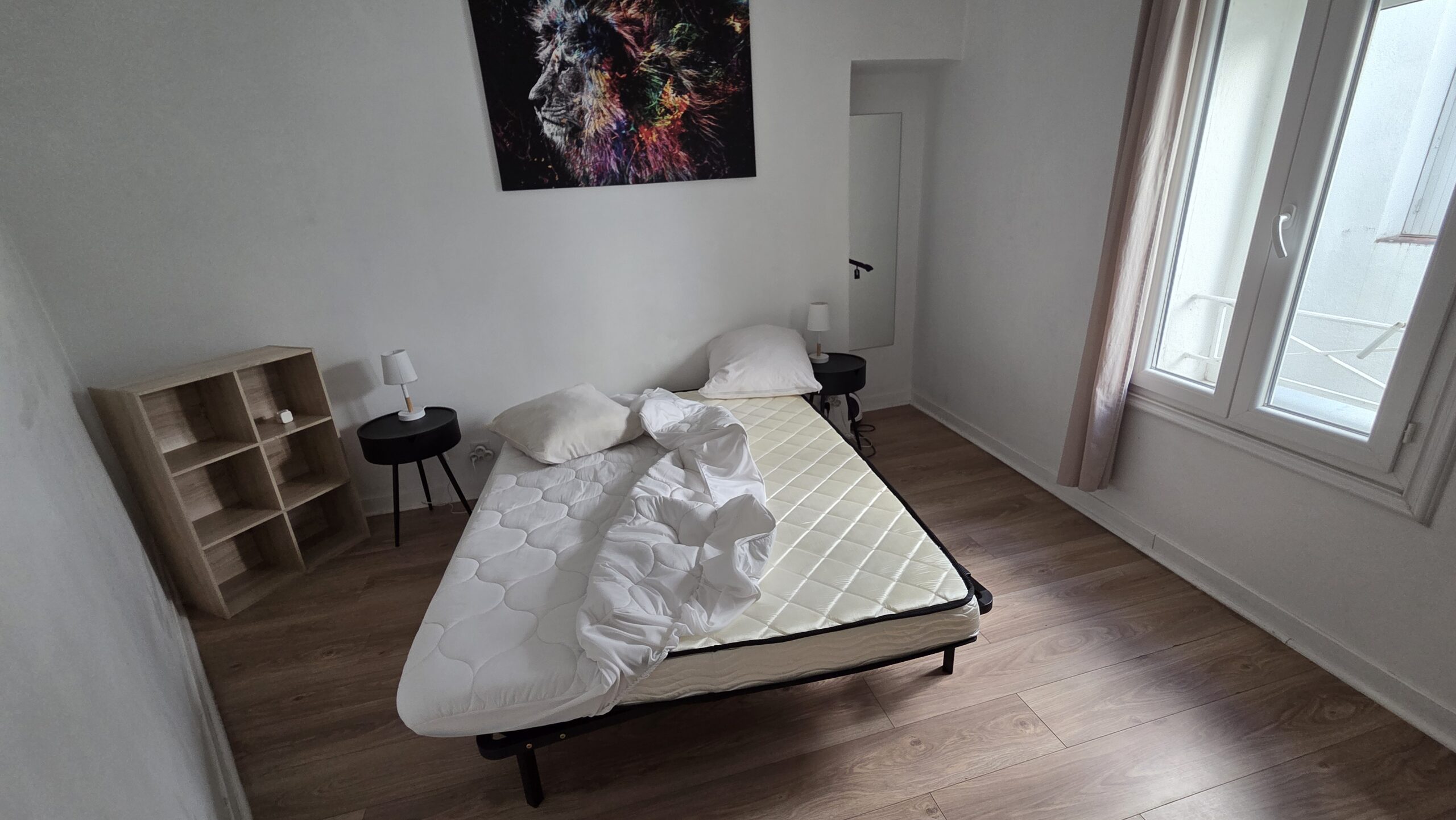 Punaise de lit dans le marais 